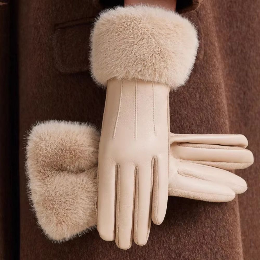 Thermal Lined Women's Leather  - Winter Glove Insulated recension och pris